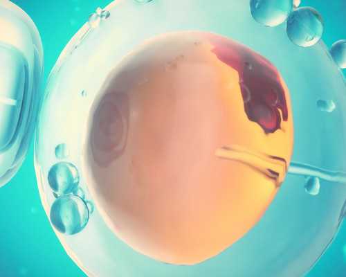 云南私立妇产医院排名，云南有私营供卵医院吗？