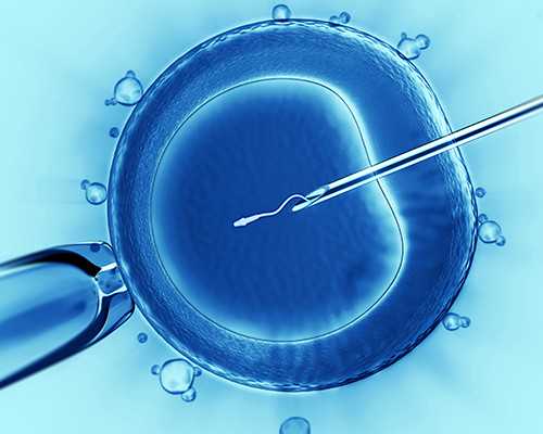 供卵试管婴儿东莞有私立医院吗能报销吗