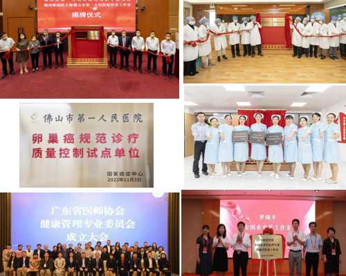 2026年高龄失独家庭做试管可以供卵吗？