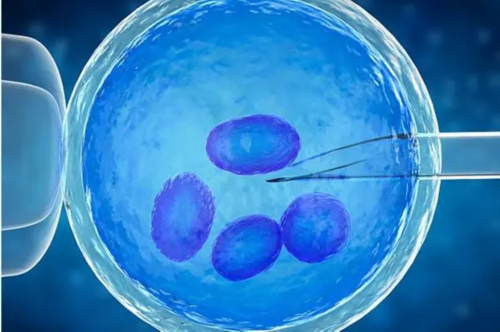 深圳供卵代孕包性别,深圳去俄罗斯试管婴儿最好机构联系方式(去深圳试管需要