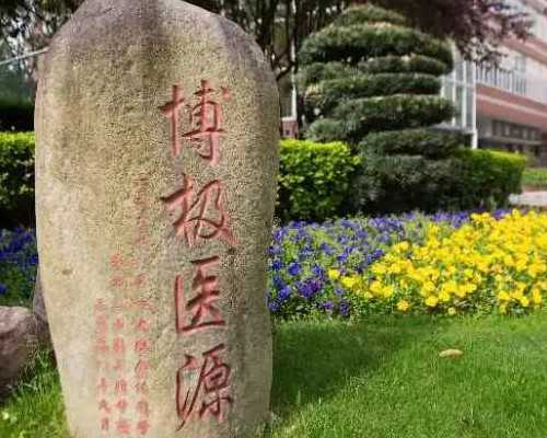 拮抗剂方案可以移植囊胚吗？拮抗剂方案移植囊胚成功率