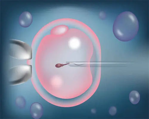 坤和代怀中心(南方代孕成功率),
              2026年生男生女最准确的预测方法是