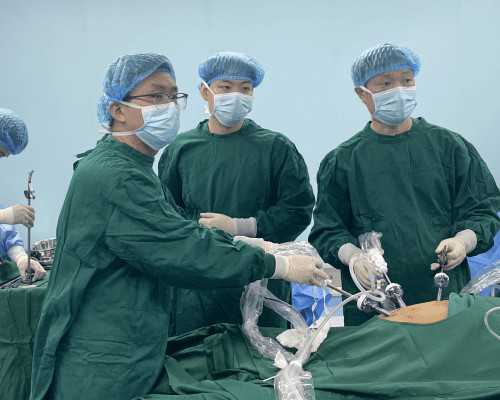 环球代妈招聘_高鹰代怀孕咨询,国内三代试管婴儿私立医院排行榜国内三代试管