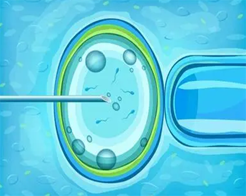 输卵管积水和堵塞哪个严重