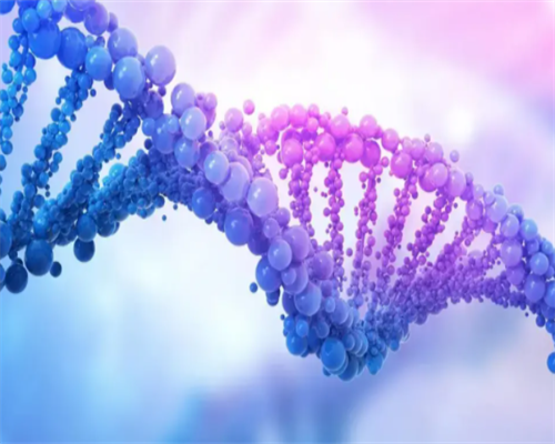 45岁的能做试管婴儿吗？成功率是多少？