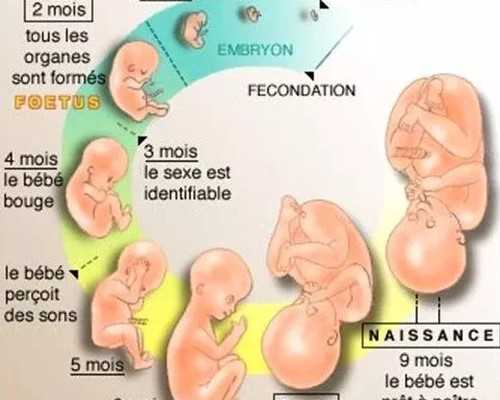 国内靠谱代孕那里有,不孕不育挂哪个湘雅!不孕不育去湘雅几医院好!