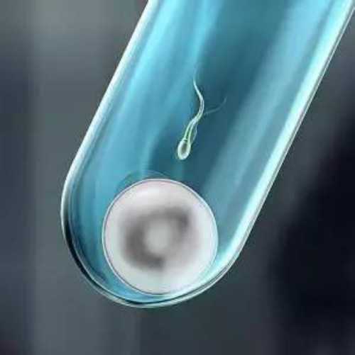 35万包生儿子_包成功代生,试管代孕的成功率+做第二代试管婴儿意外得双胎