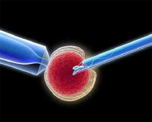 深圳供卵试管包含什么费用,深圳有私立医院做试管的吗？深圳最好试管私立医