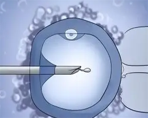 深圳借卵试管中心！代生机构安全吗