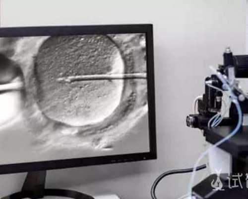 深圳供卵试管代生机构费用多少钱？附费用明细？