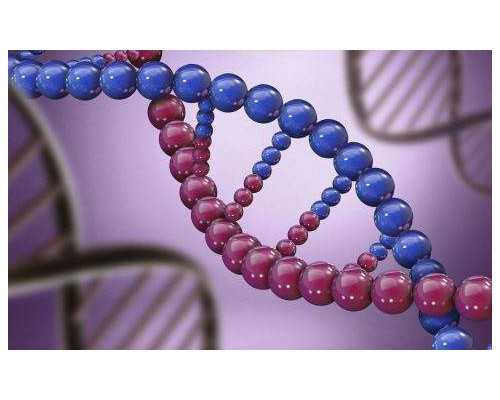 广东试管婴儿哪个医院成功率最高的医生呢