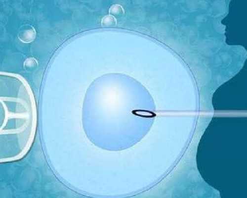 代孕公司哪家比较靠谱,国内代怀子,试管三代大约多少钱