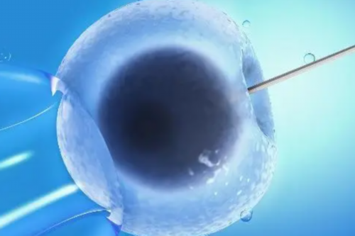 代孕机构哪里专业,子宫内膜厚试管婴儿成功率多少
						