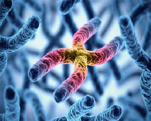 广东供卵不排队医院大全，广州、深圳多家生殖中心上榜