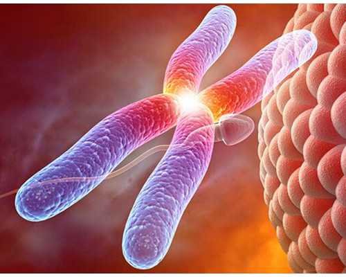 深圳有供卵代怀吗多少钱,深圳市宝安区中医院可以做试管吗？试管成功率怎么