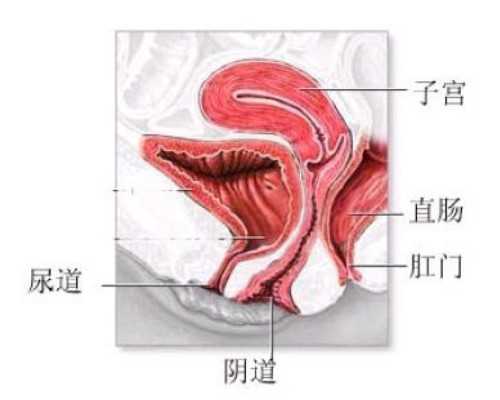 深圳借卵子的费用,深圳武警医院做试管婴儿成功率高吗?附详细成功率介绍?