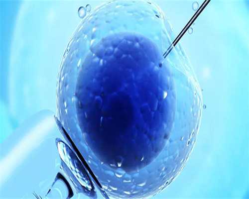 多囊和输卵管堵塞哪个严重