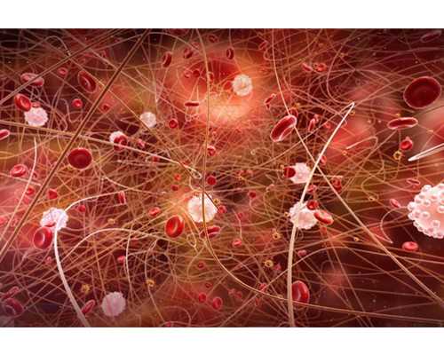 东莞广济医院张金玉医生做试管成功率高吗？
						