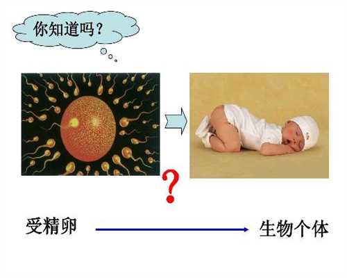 深圳代孕哪家好代孕几个月才算进入“孕中期”