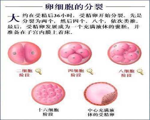 深圳代妈,适合子宫内膜异位症患者的促排卵方案
