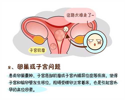 深圳帮人助孕多少钱,助孕机构,深圳正规医院助孕