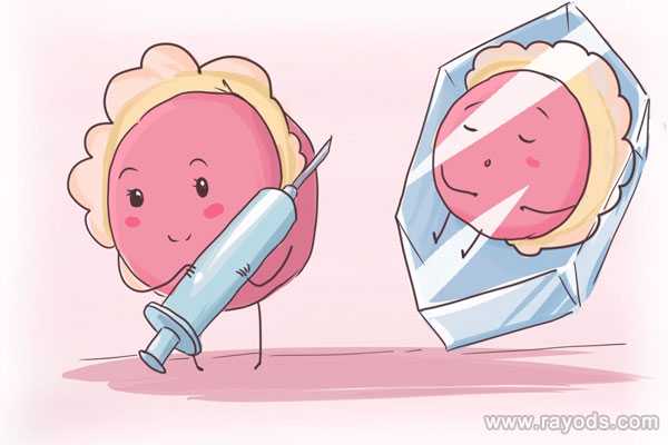 苏州代生双胞胎公司，公立医院供卵试管婴儿