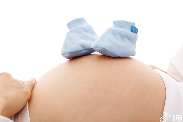 2022在厦门哪些地方可以利用供卵试管婴儿技术助孕？