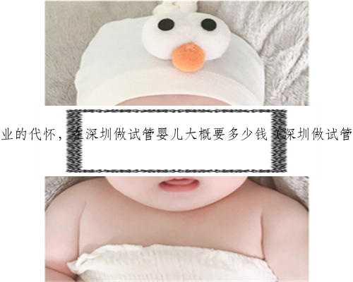 深圳专业的代怀，在深圳做试管婴儿大概要多少钱（深圳做试管费用）