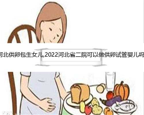 河北供卵包生女儿,2022河北省二院可以做供卵试管婴儿吗?
